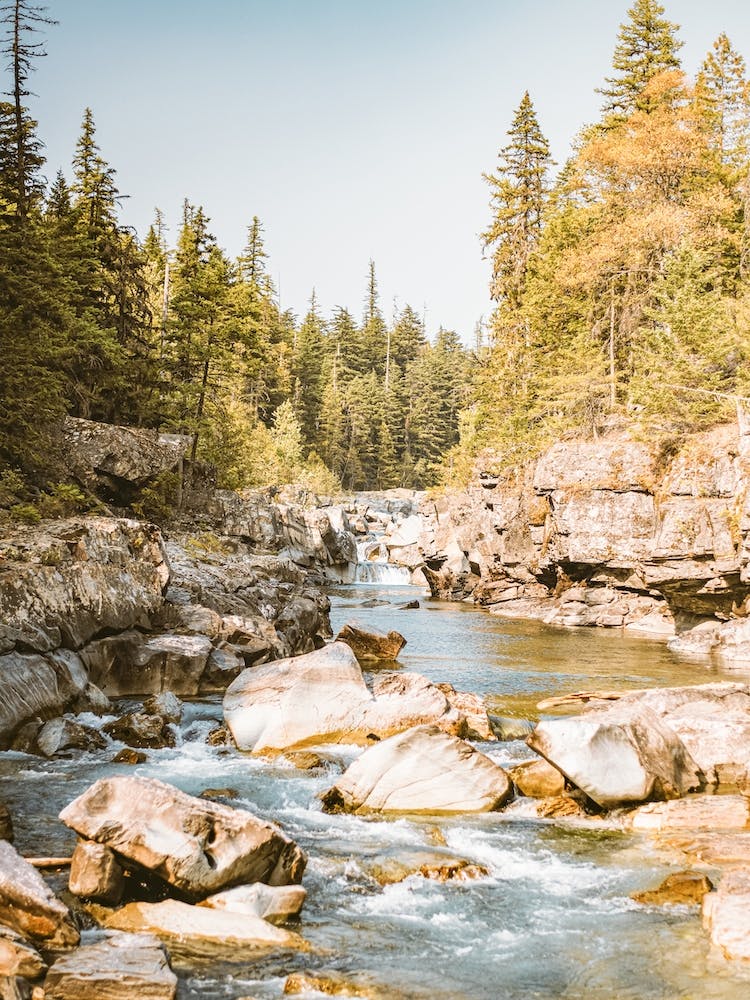 Creek In Mountains