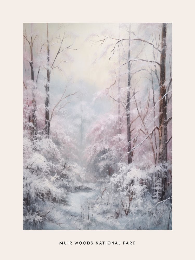 Dreamy Winter National Park Poster  Muir Woods National Park United States 1