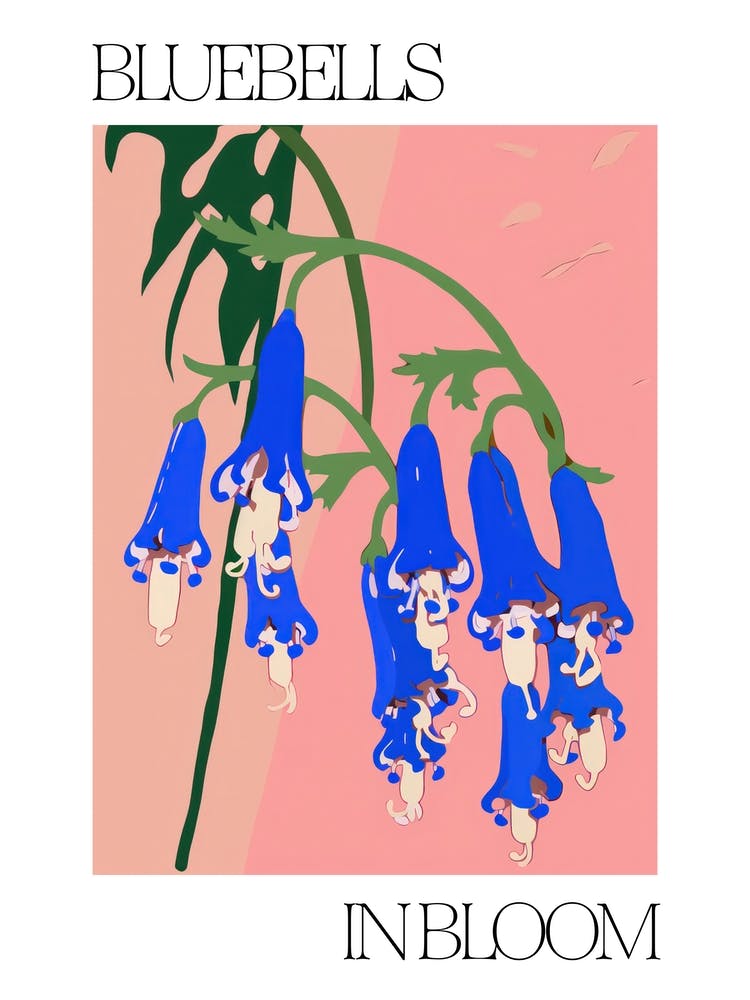 Bluebells In Bloom Flowers Bold Illustration 1