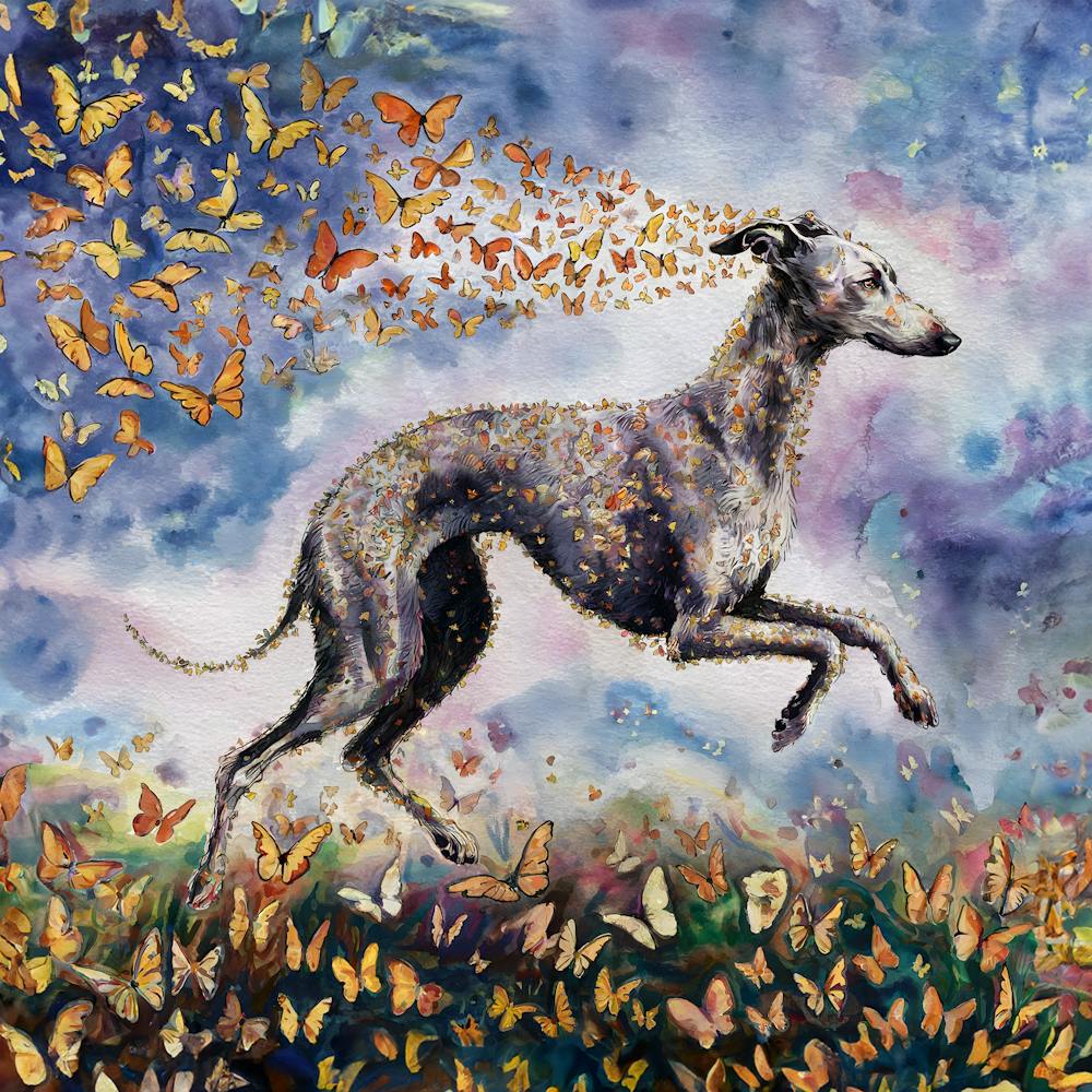 Greyhound With Butterflies