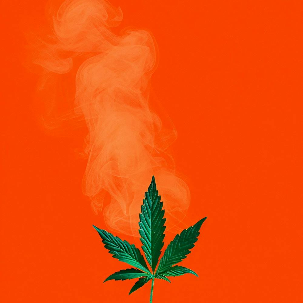 Marijuana Leaf On Orange Background