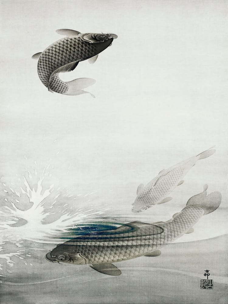 Three Carps (1877 1945), Ohara Koson