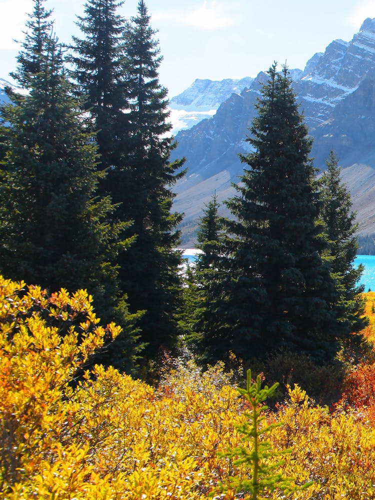 Autumn In Banff National Park