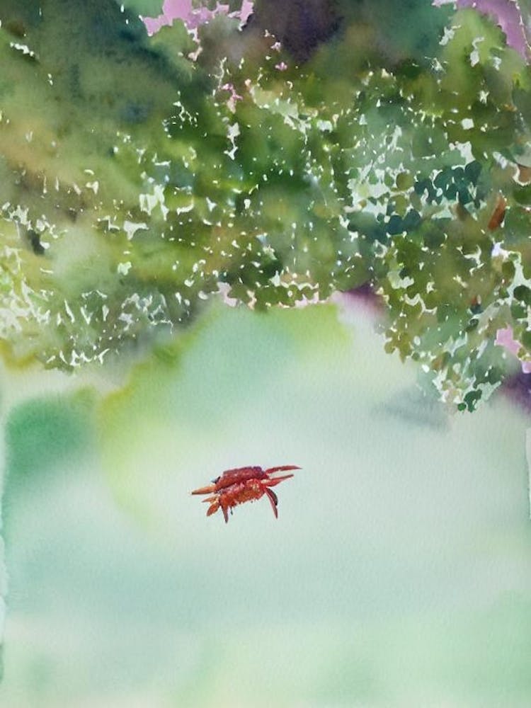 King Crab II Storybook Watercolour