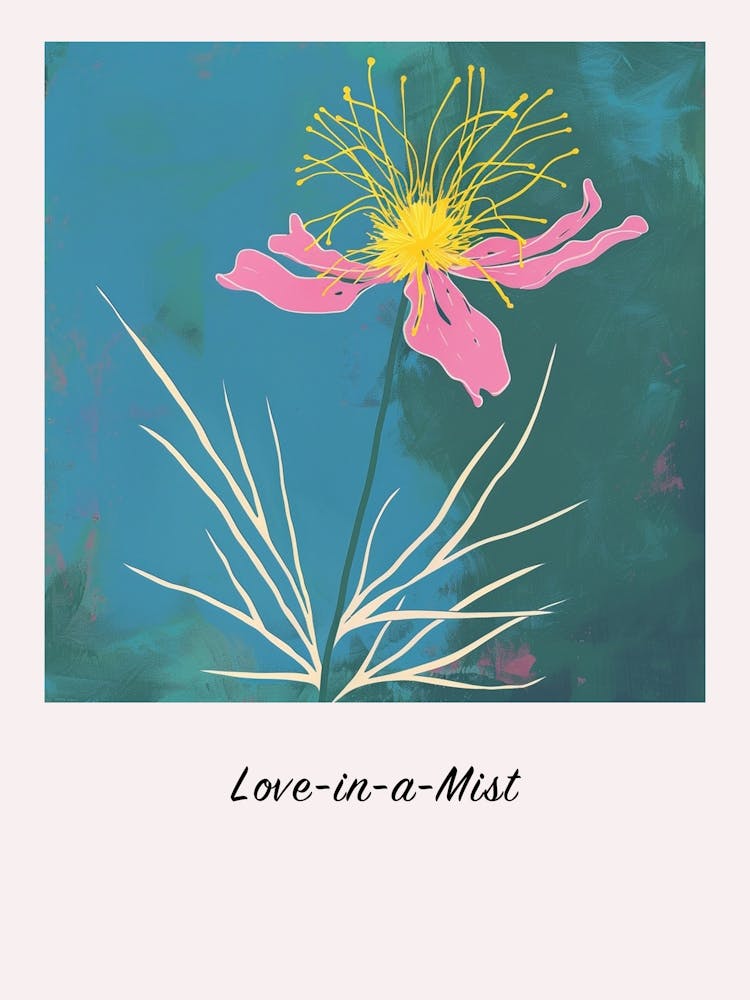 Love In A Mist 1 Square Flower Illustration Poster