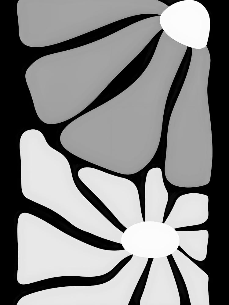 Black And White Flowers 132