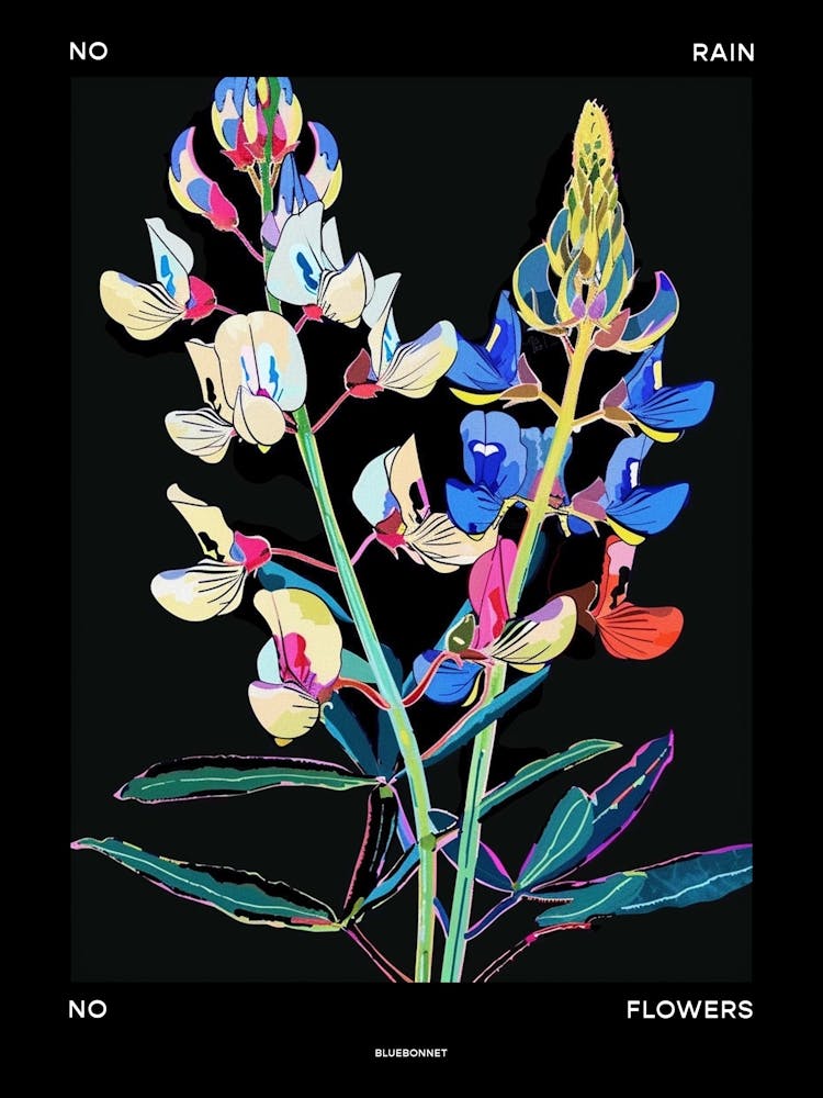No Rain No Flowers Poster Bluebonnet 1