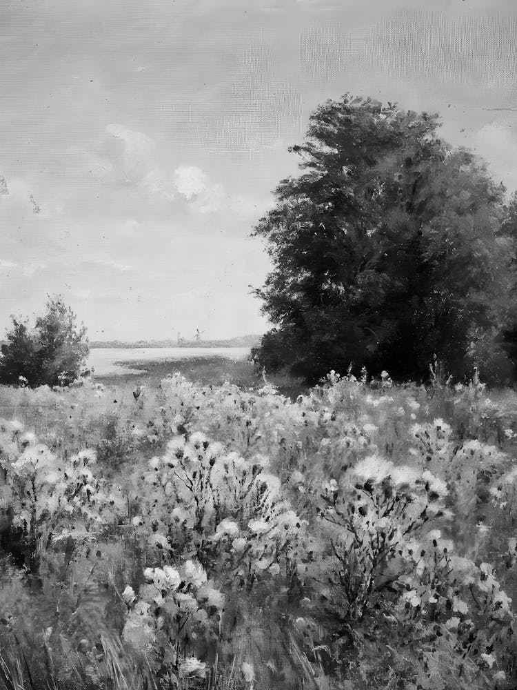 Black And White Of A Field