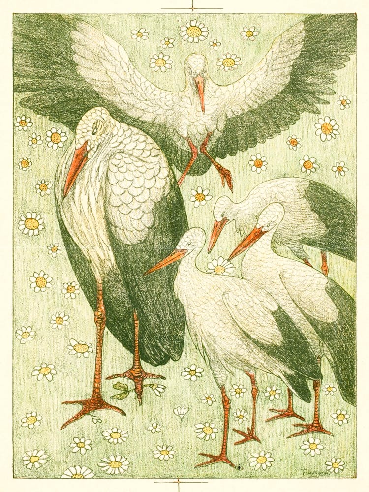 Five Storks In A Meadow, Theo Van Hoytema