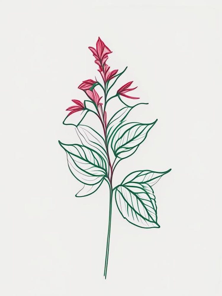 Peppermint Floral Minimal Line Drawing 2 Flower
