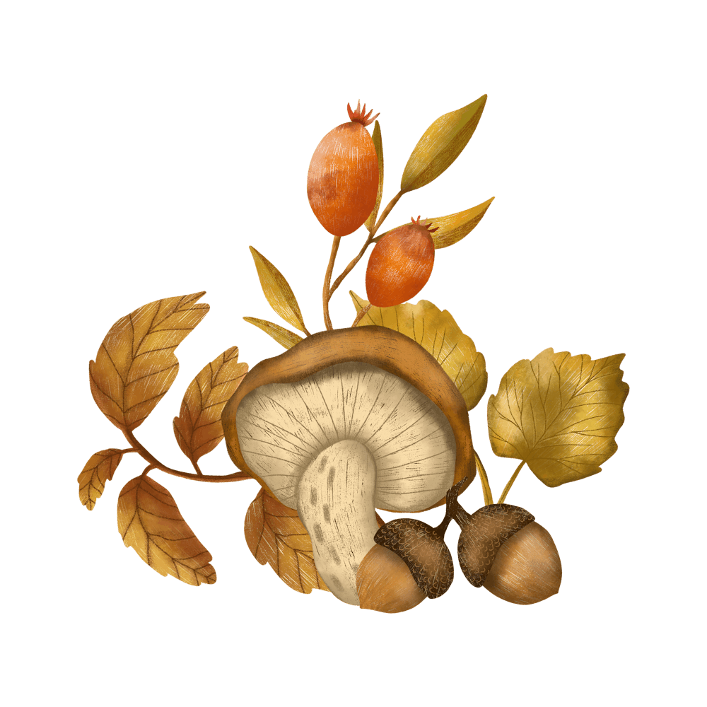 Fall illustration with mushroom