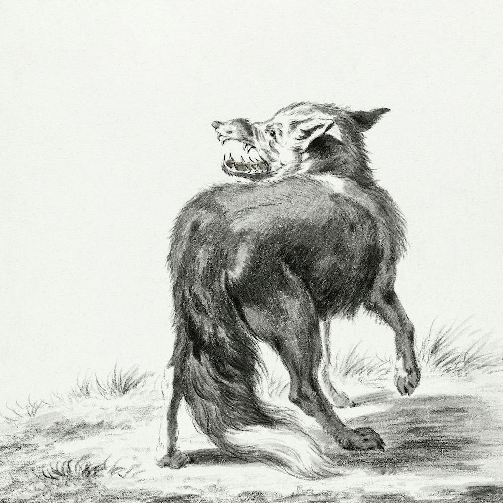 Fox, Jean Bernard
