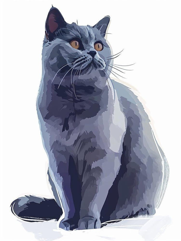 British Shorthair Cat Clipart Illustration 3