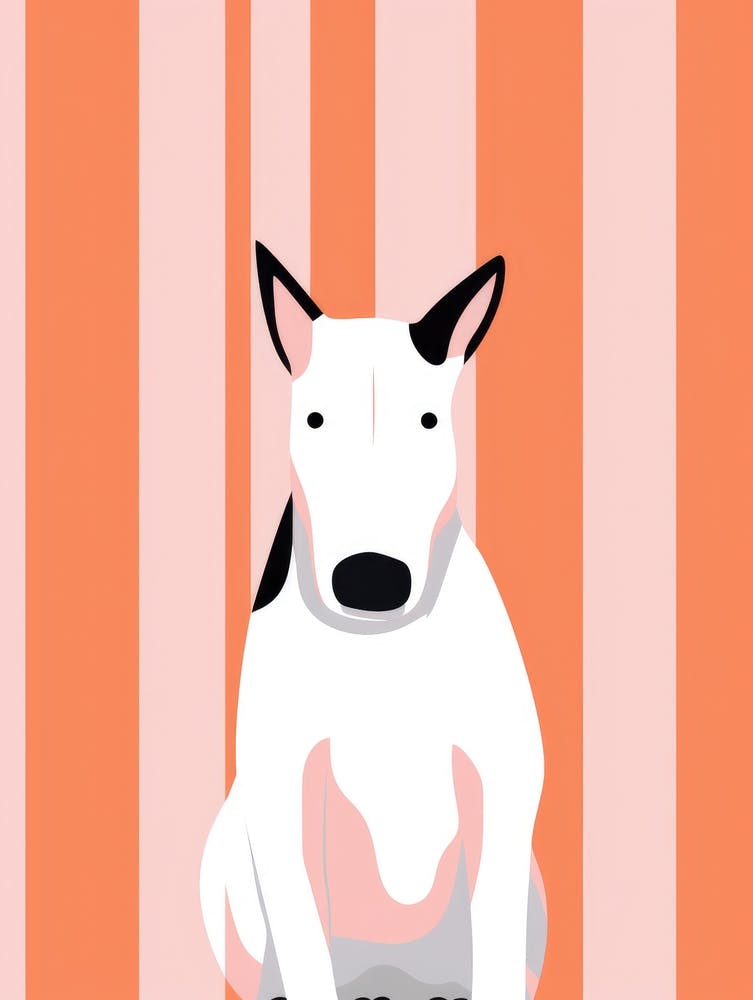 Bull Terrier 9