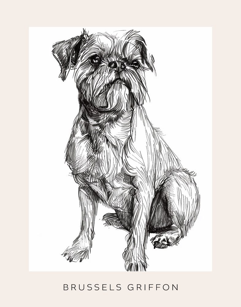 Brussels Griffon Line Sketch 3 Poster