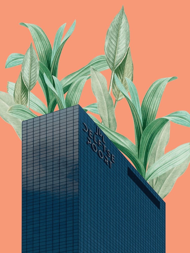 Plant Building