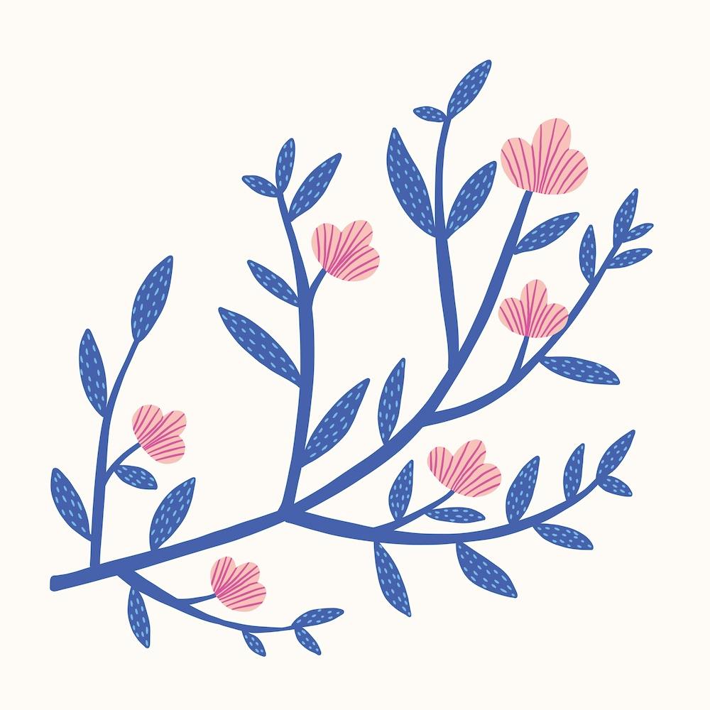 Spring Branch Square