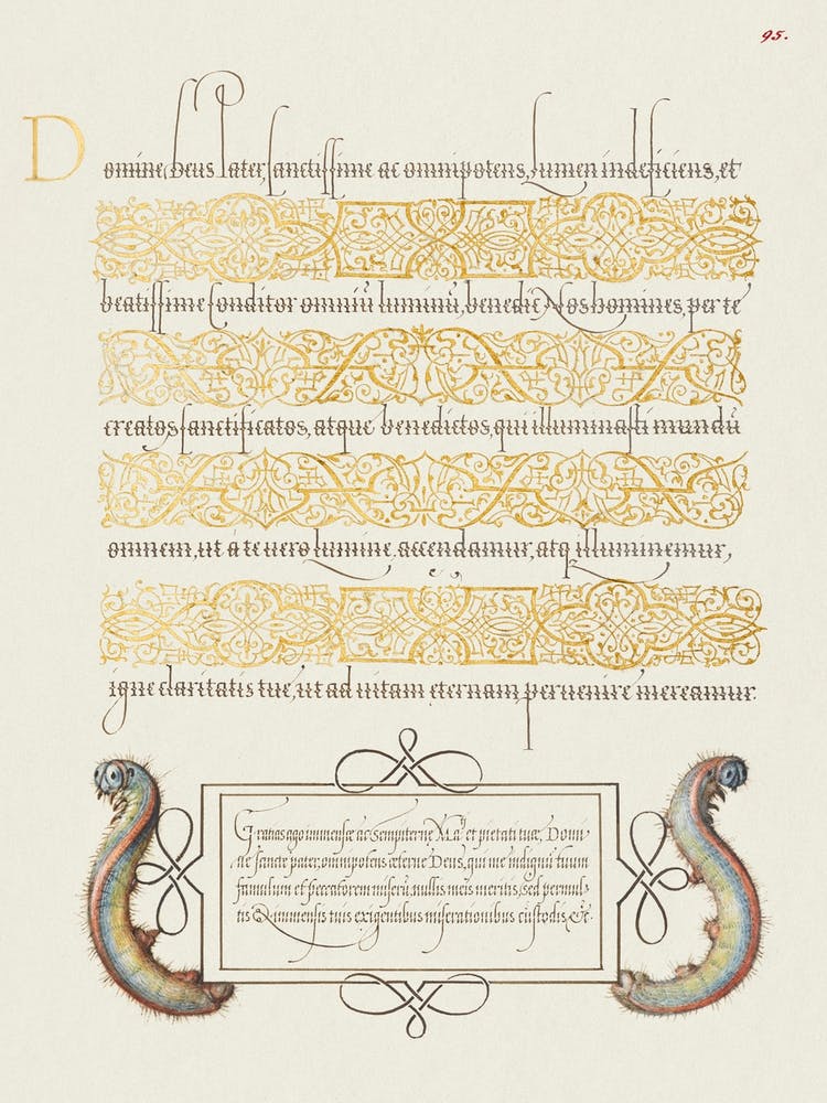 Caterpillars From Mira Calligraphiae Monumenta, Joris Hoefnagel