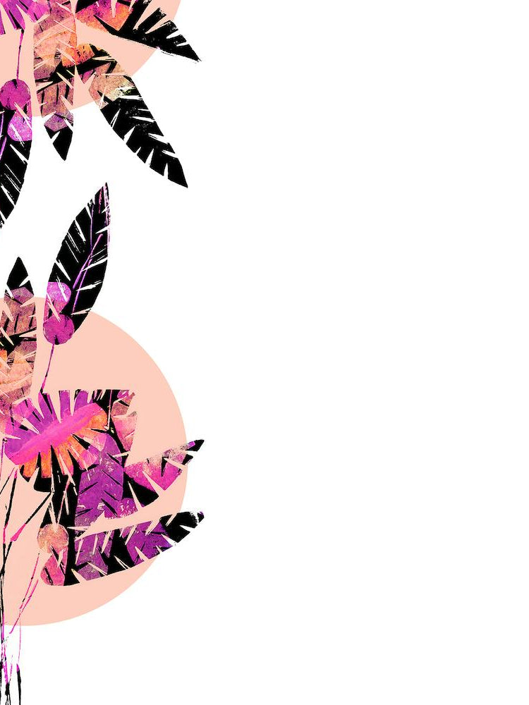 Pink Plants On Coral