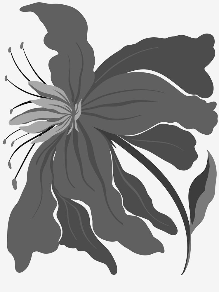 Clematis
