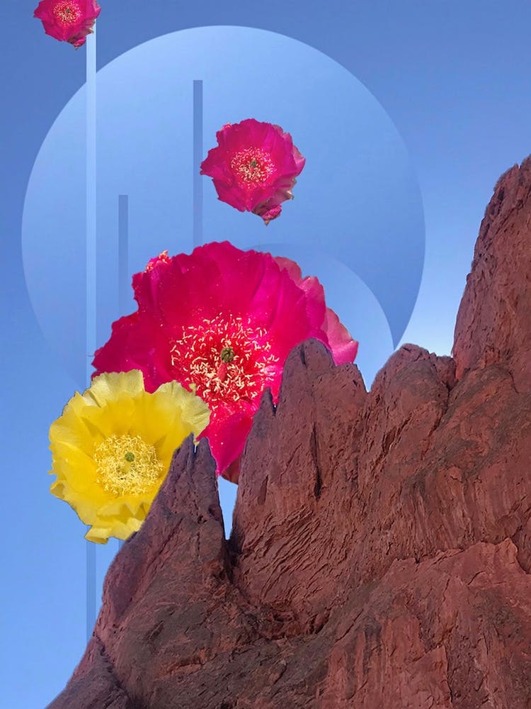 Garden Of The Gods