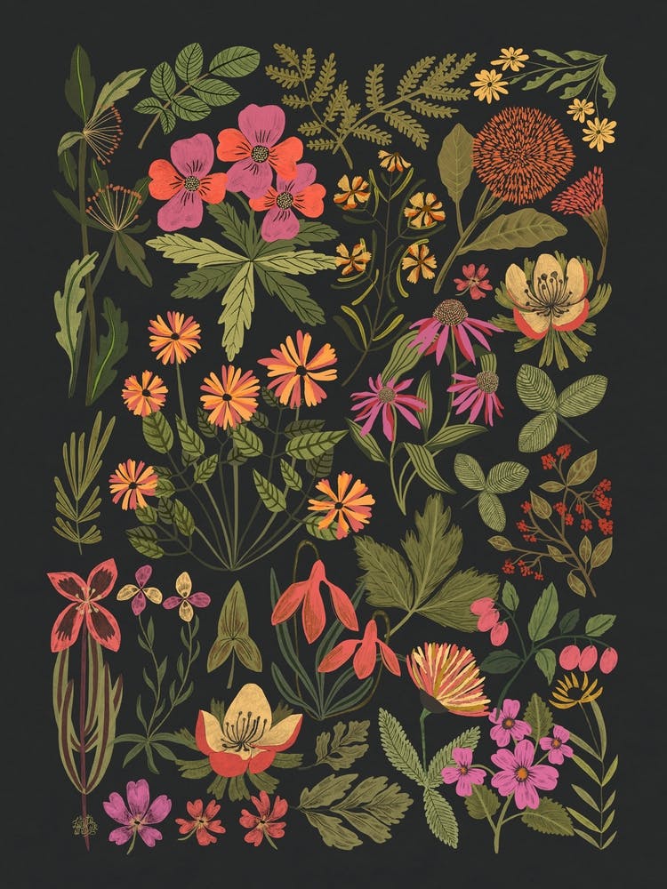 Wildflowers At Night