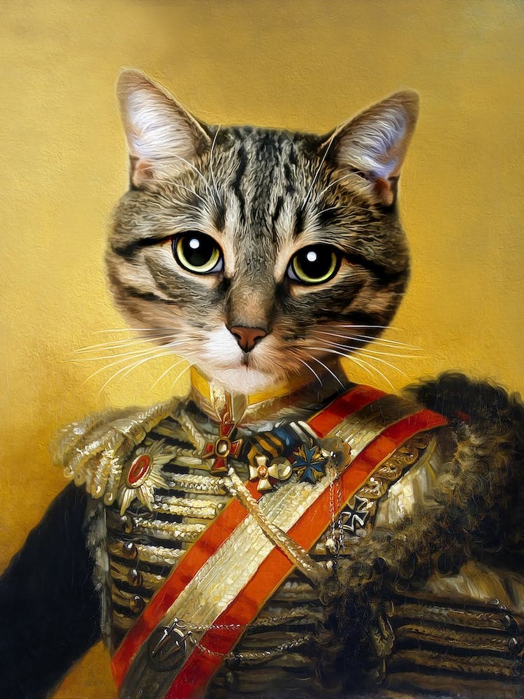 Ivan The Cat With No Fear Pet Portraits