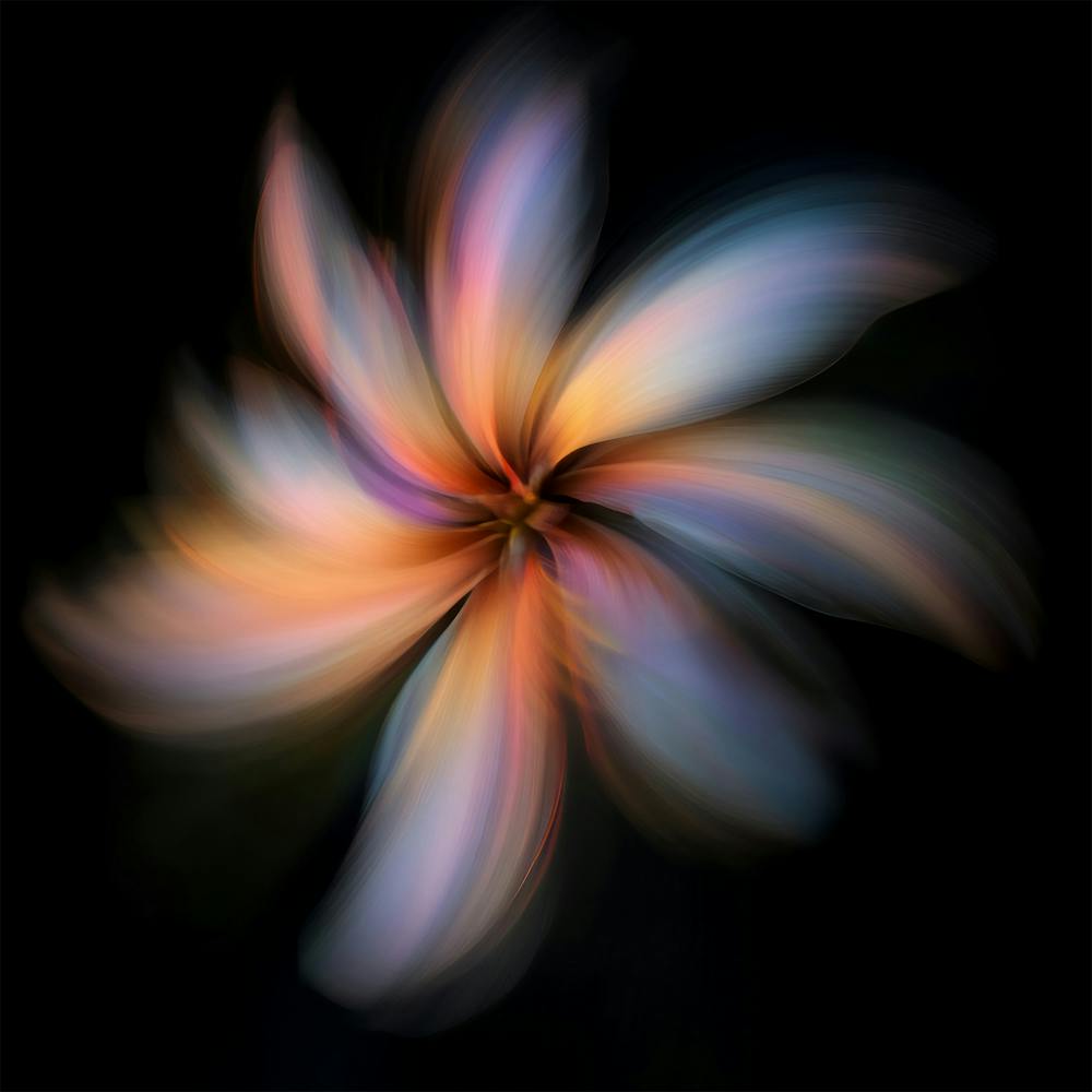 Abstract Flower 1