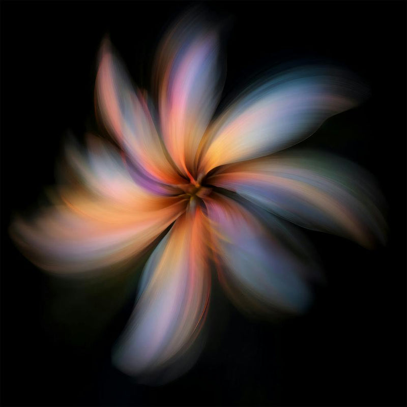 Abstract Flower 1