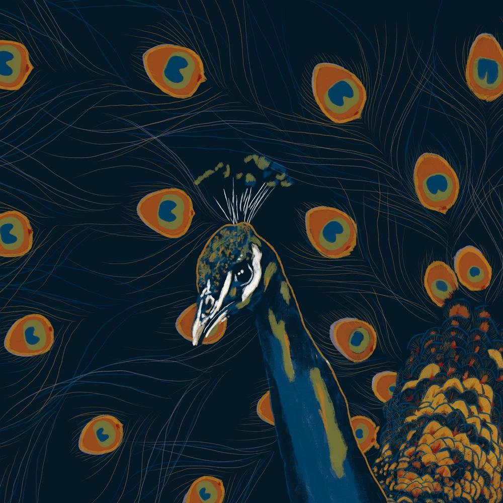 Peacock Square
