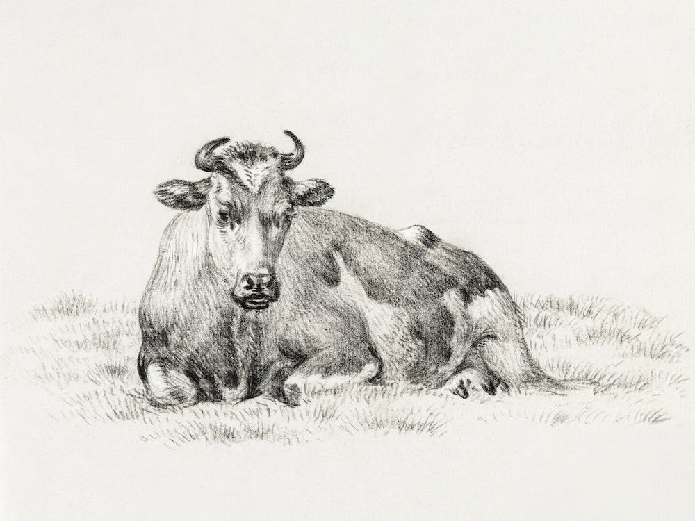 Lying Cow (1825), 1, Jean Bernard