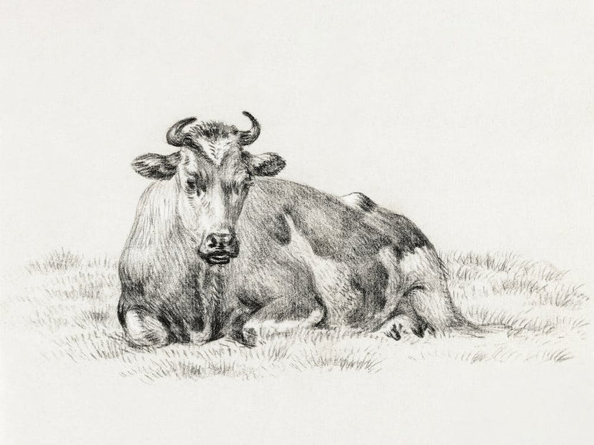 Lying Cow (1825), 1, Jean Bernard