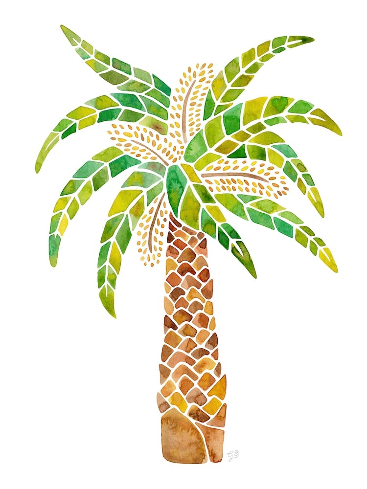 Palm