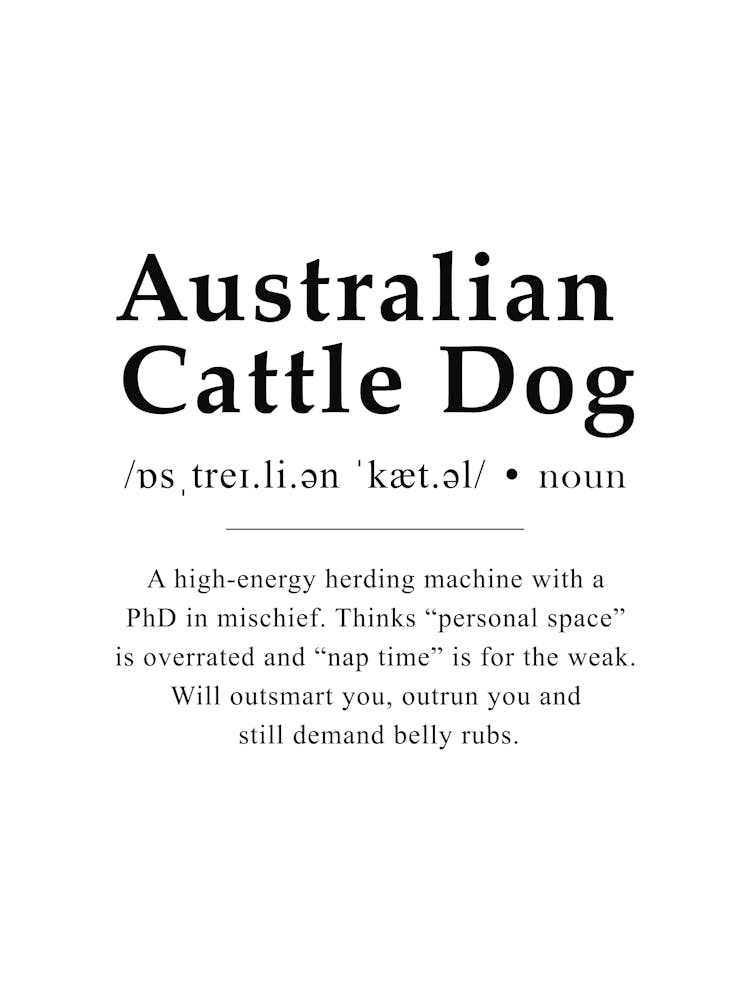 Australian Cattle Dog Definition Poster - Dictionary