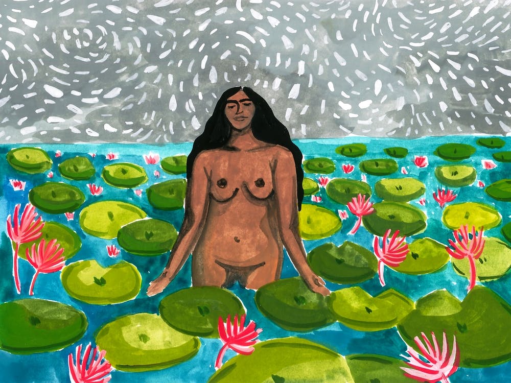 Waterlillies