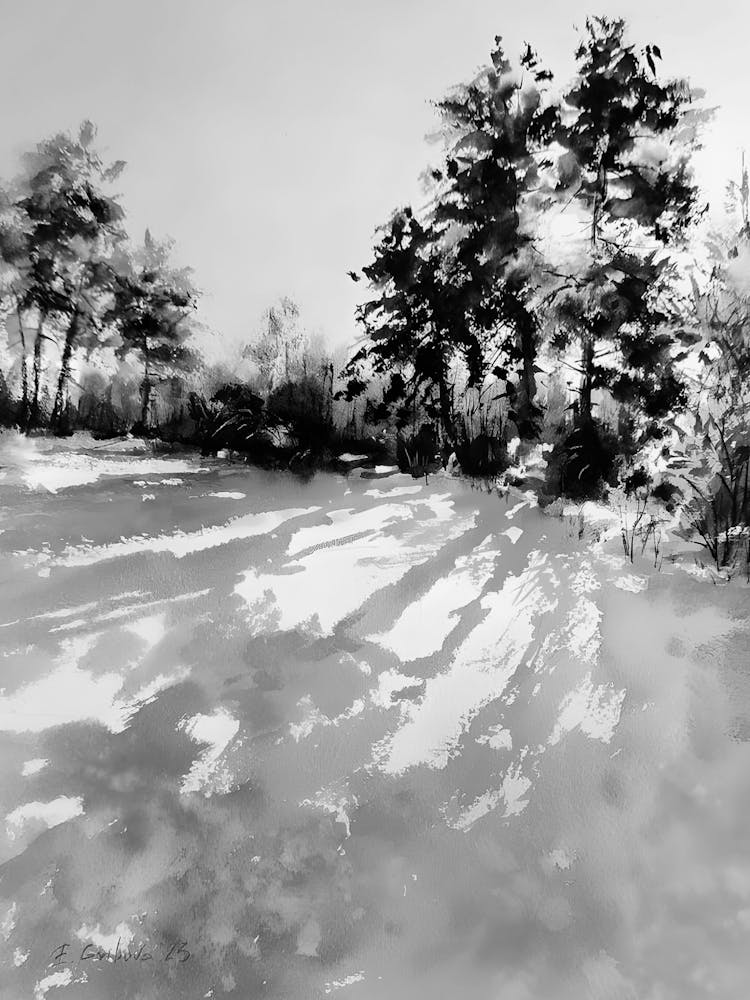 Black And White Winter Landscape