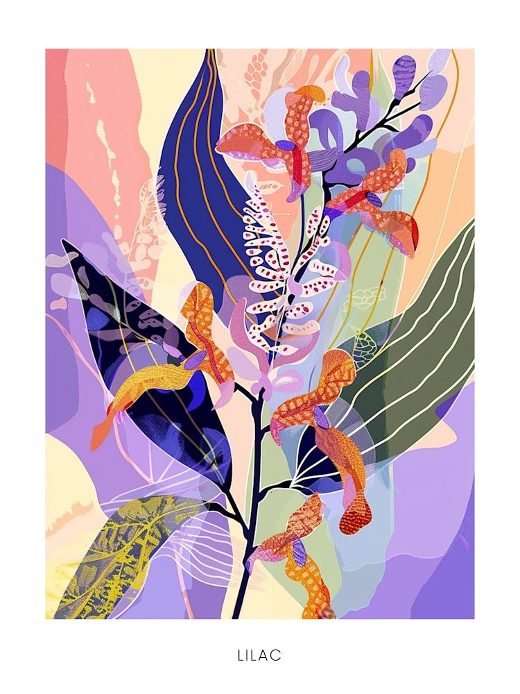 Colourful Flower Illustration Poster Lilac 2