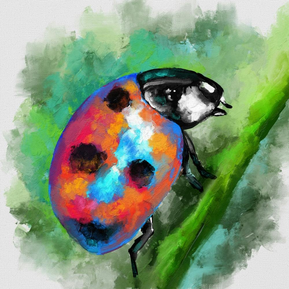 Ladybug 1 Square