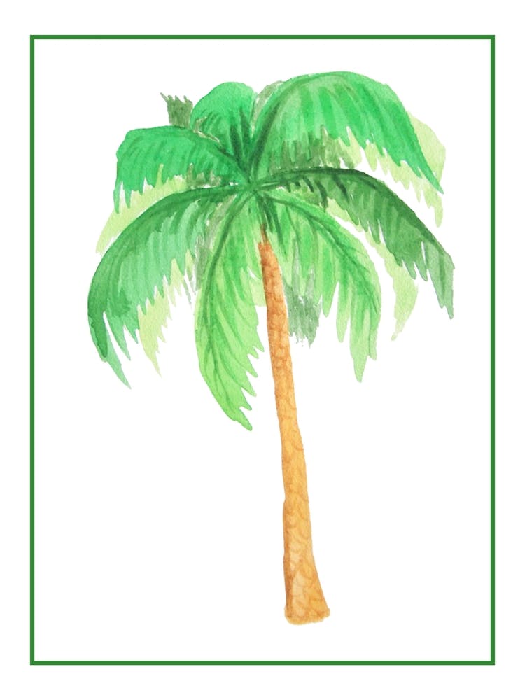 Palm Tree