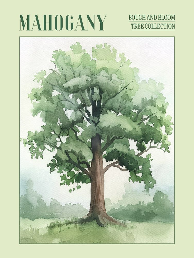 Mahogany Tree Atmospheric Watercolour Painting 8 Poster