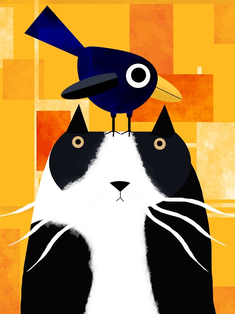The Cat and the Crow