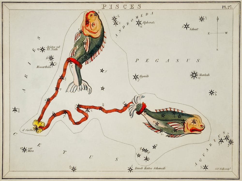 Pisces, Sidney Hall