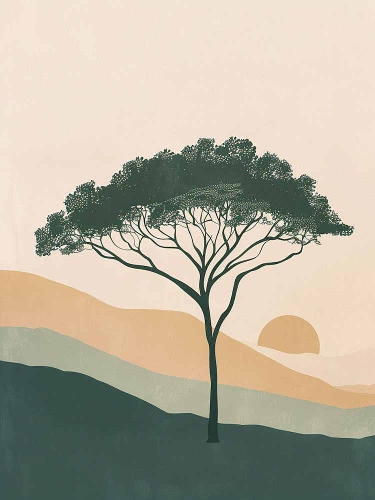 Acacia Tree Minimal Japandi Illustration 1