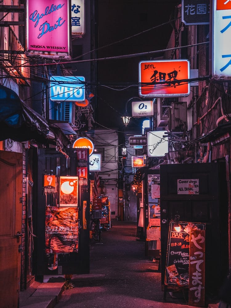 Golden Gai Bar Crawl