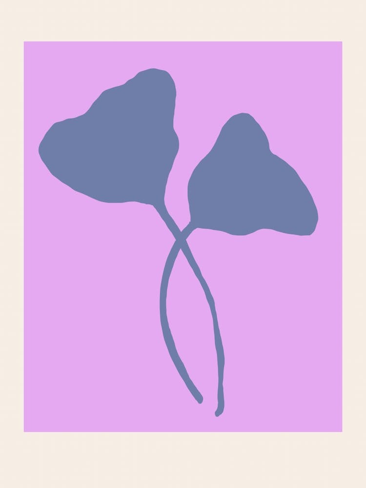 Floral color party no 02