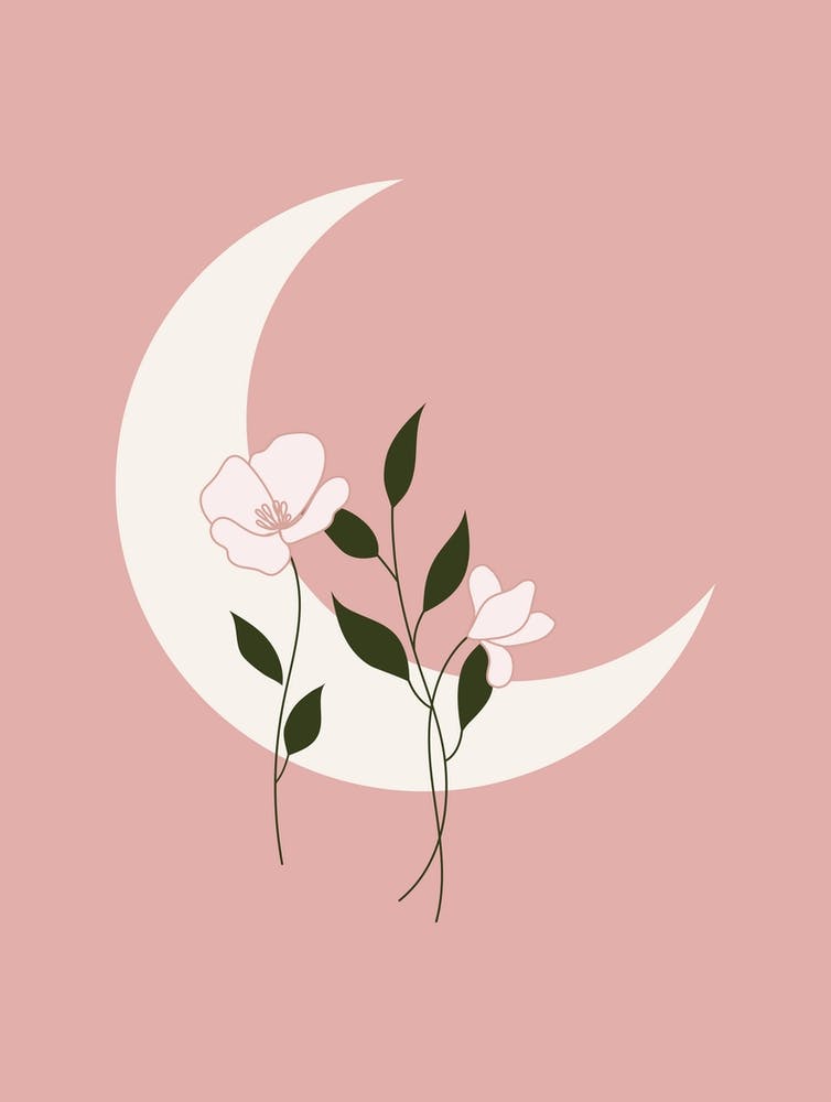 Pink Moon And Flowers