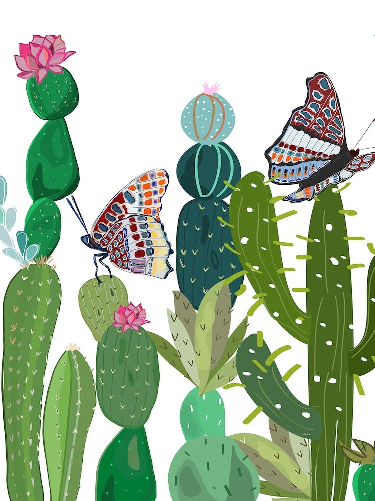 Cactus Succulents Butterflies