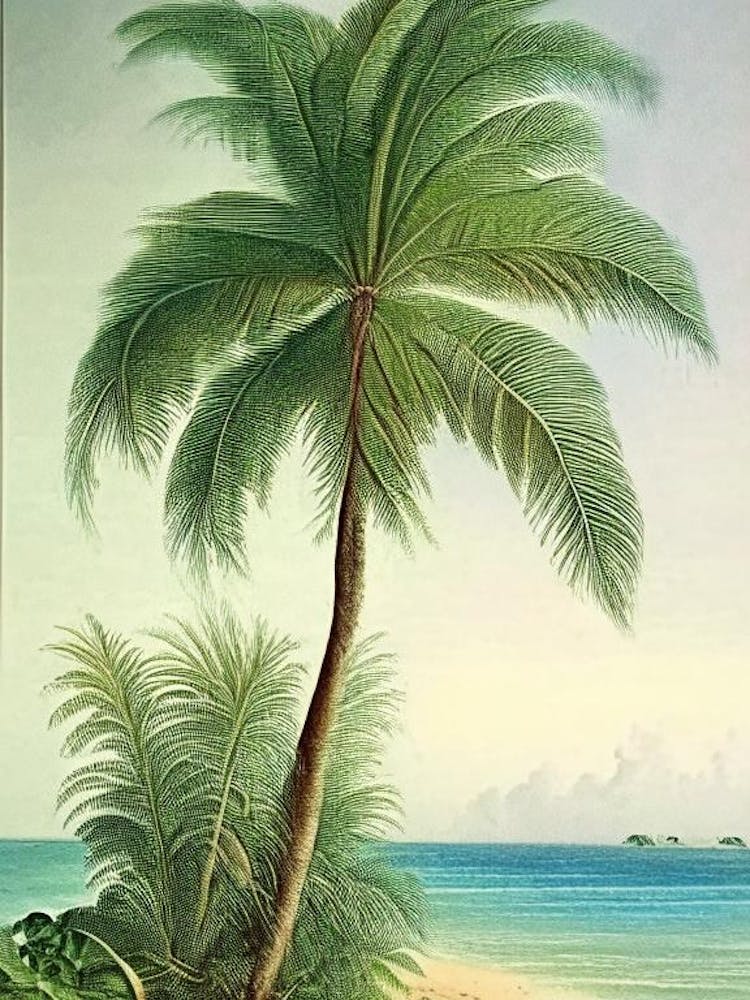 Beach Waterscape Vintage Illustration 1
