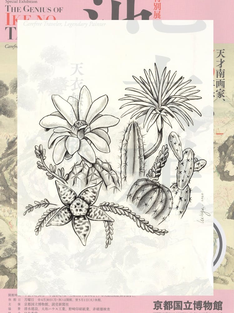 Cactus Collage