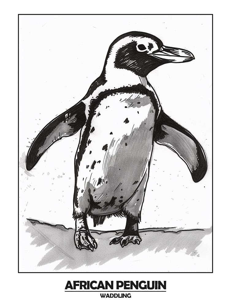 Penguin Waddling Poster 2